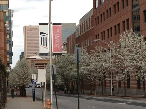 图片11.jpg 图片11.jpg