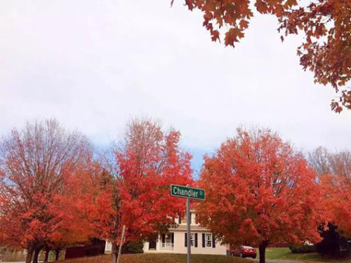 图片14.jpg 图片14.jpg