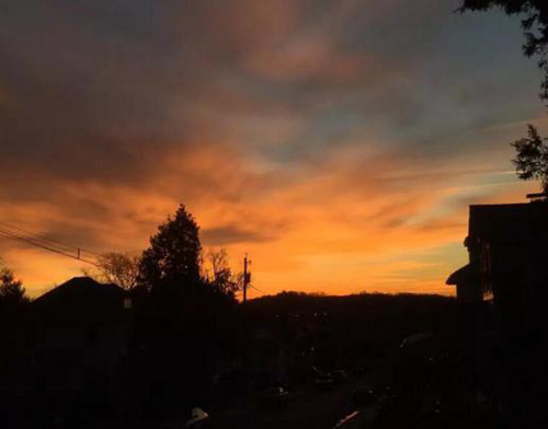 图片16.jpg 图片16.jpg