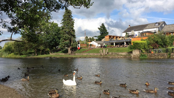 图片1.jpg 图片1.jpg