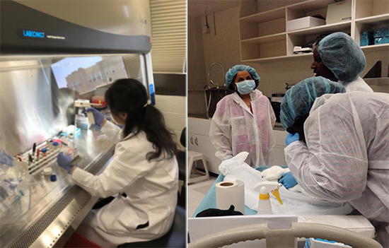 图片8.jpg 图片8.jpg