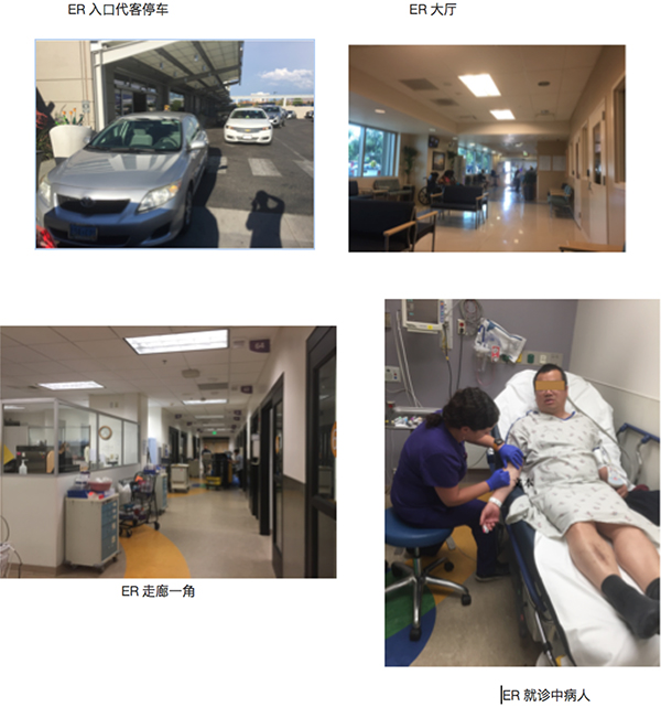 图片39.jpg 图片39.jpg