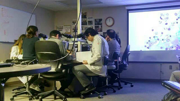 图片2.jpg 图片2.jpg