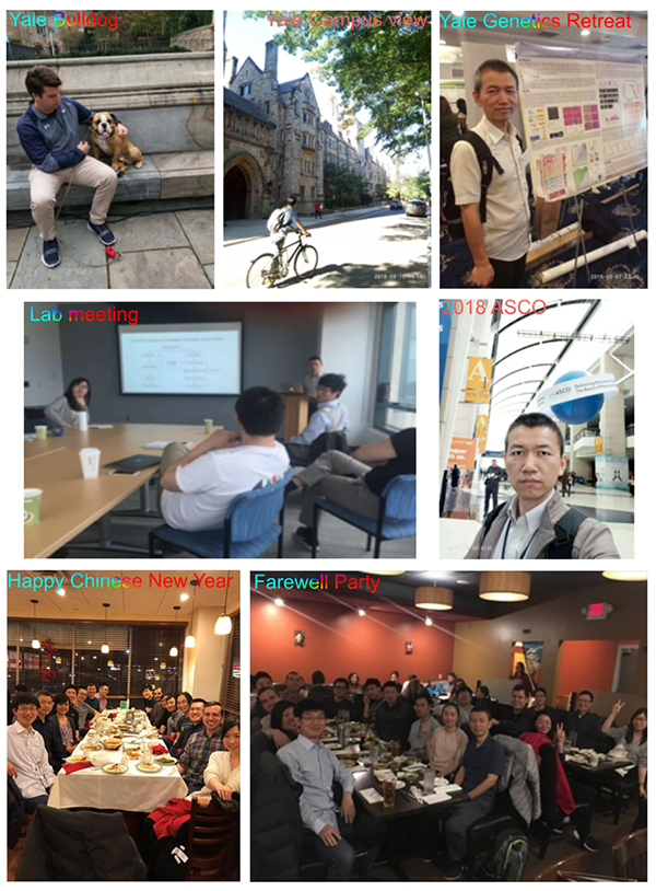 图片1.jpg 图片1.jpg