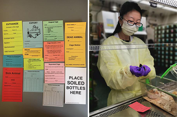 图片3.jpg 图片3.jpg