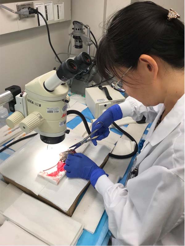 图片25.jpg 图片25.jpg