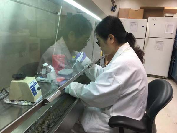 图片3.jpg 图片3.jpg