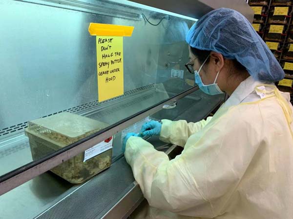 图片4.jpg 图片4.jpg