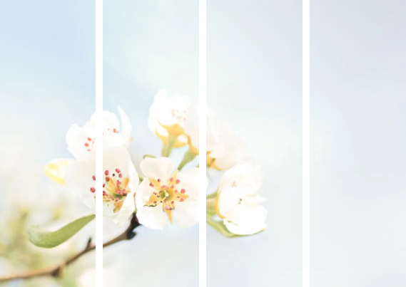 微信截图_20220323134947.png 微信截图_20220323134947.png