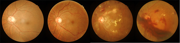 微信图片_20220408092134.jpg 微信图片_20220408092134.jpg