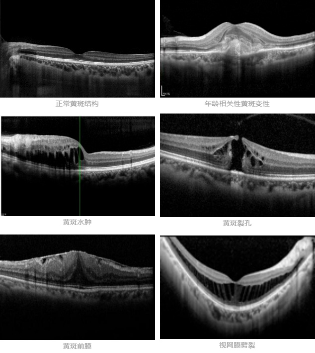 微信截图_20220518085755.jpg 微信截图_20220518085755.jpg