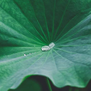 微信图片_20220826153700.jpg 微信图片_20220826153700.jpg