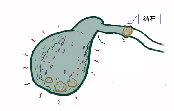 微信图片_20221027173655.jpg 微信图片_20221027173655.jpg