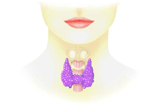 微信图片_20221108162206.jpg 微信图片_20221108162206.jpg