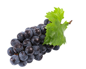 微信图片_20221122104342.jpg 微信图片_20221122104342.jpg