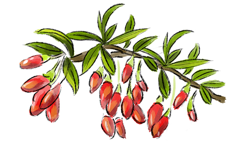 微信图片_20221202135329.jpg 微信图片_20221202135329.jpg