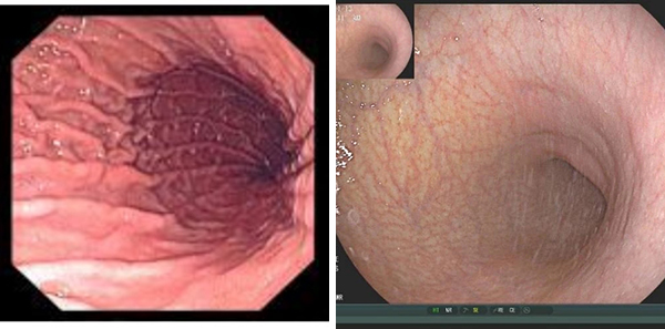 微信图片_20230112175151.jpg 微信图片_20230112175151.jpg