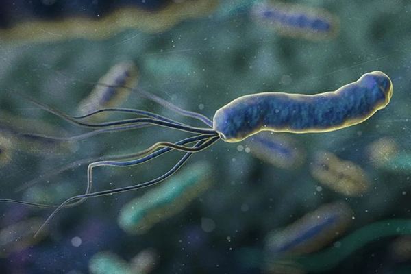 微信图片_20230112175158.jpg 微信图片_20230112175158.jpg