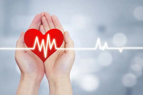 微信图片_20230208101648.jpg 微信图片_20230208101648.jpg