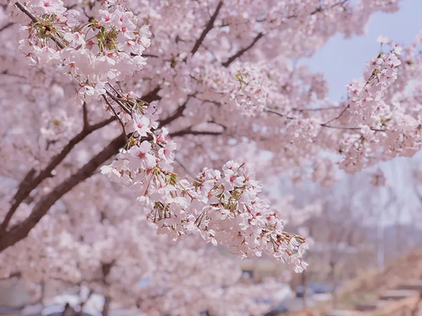 微信图片_20230310090908.jpg 微信图片_20230310090908.jpg