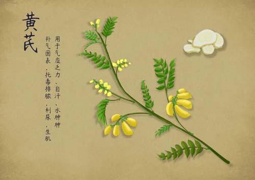 微信图片_20230320114521.jpg 微信图片_20230320114521.jpg