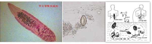 微信图片_20230625093724.jpg 微信图片_20230625093724.jpg