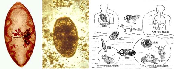 微信图片_20230625093727.jpg 微信图片_20230625093727.jpg