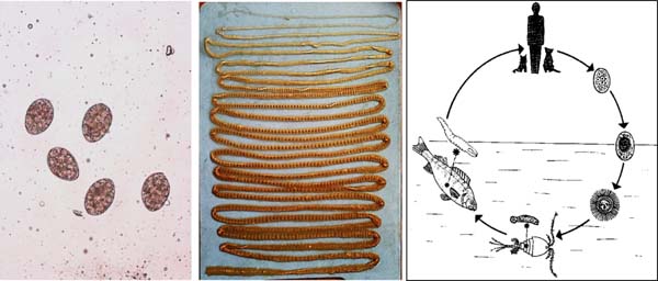 微信图片_20230625093730.jpg 微信图片_20230625093730.jpg