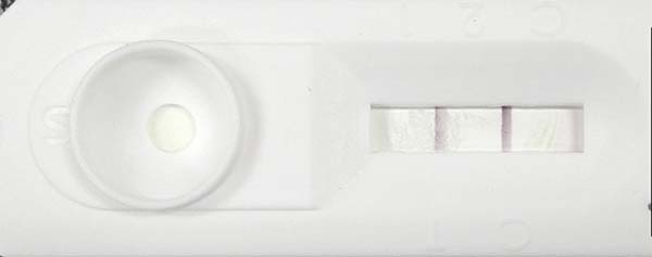 640 (1) 拷贝.jpg 640 (1) 拷贝.jpg