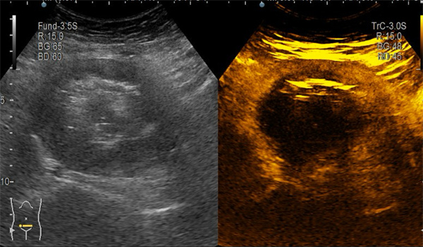 微信图片_20250113102400.jpg 微信图片_20250113102400.jpg
