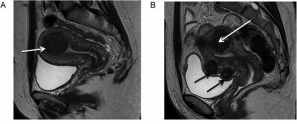 微信图片_20250219100020.jpg 微信图片_20250219100020.jpg