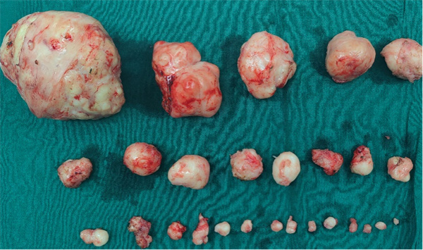 微信图片_20250219100023.jpg 微信图片_20250219100023.jpg