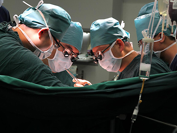 图片2.jpg 图片2.jpg